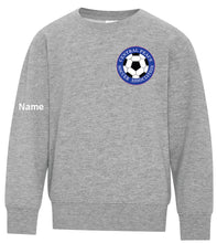 Load image into Gallery viewer, ATC™ EVERYDAY FLEECE CREWNECK SWEATSHIRT. ATCF2400 (YOUTH)