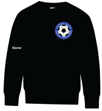 Load image into Gallery viewer, ATC™ EVERYDAY FLEECE CREWNECK SWEATSHIRT. ATCF2400 (YOUTH)