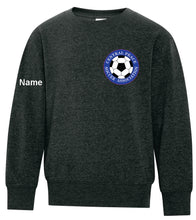 Load image into Gallery viewer, ATC™ EVERYDAY FLEECE CREWNECK SWEATSHIRT. ATCF2400 (YOUTH)