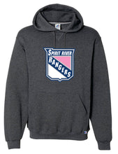 Load image into Gallery viewer, Russell Athletic Dri Power hoodie