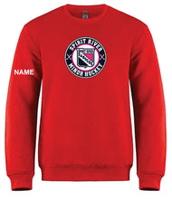 Load image into Gallery viewer, L0540 - Vault - Adult Pullover  Crewneck GIRLS LOGO